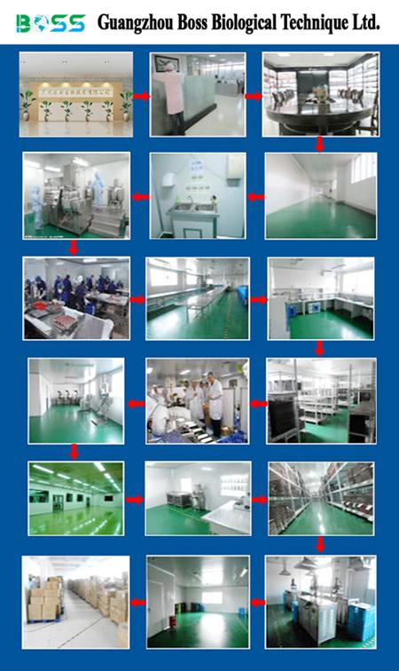 ماسکارای طبیعی ارگانیک 10 میلی لیتر ماسکارای مژه های جادویی 0